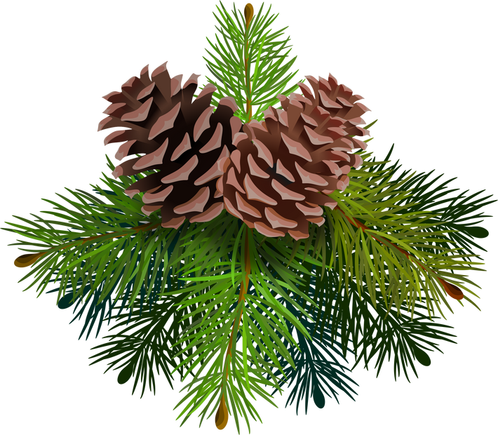 Pine Cones and Leaves Illustration