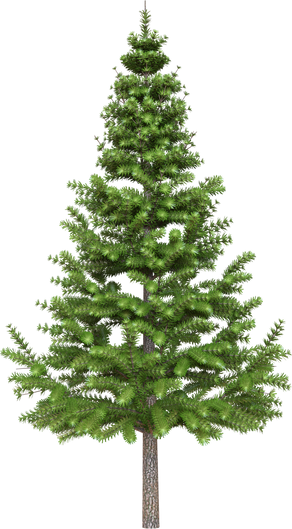 Decorative Pine Tree